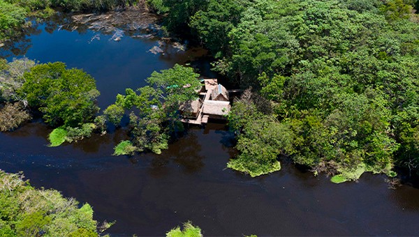 Navegando por el Río Ucayali (Half day)
