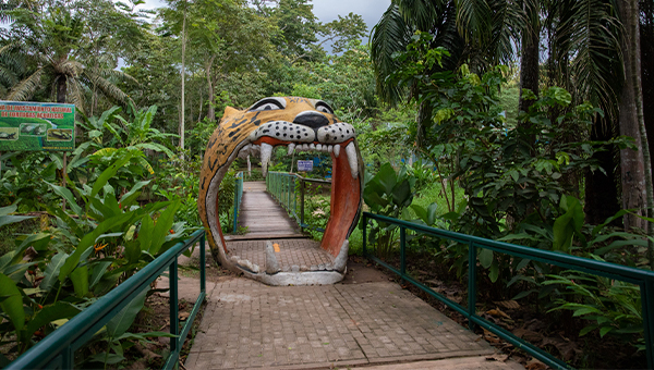 City tour Pucallpa (Half day)